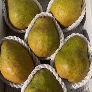 ✨シルバーベル✨　7玉