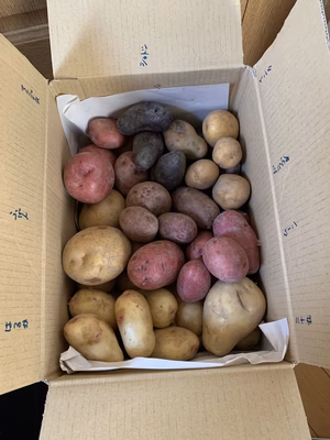 みんなの投稿の画像