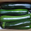 イボイボが自慢のきゅうり