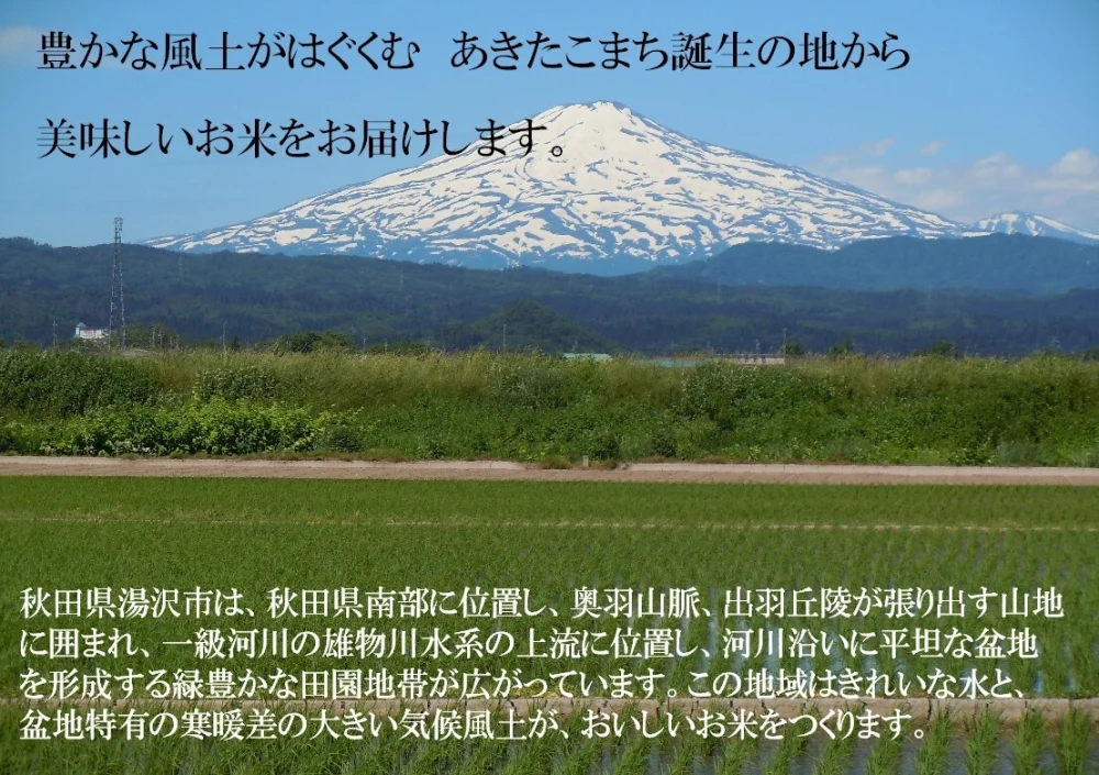 【新米予約】令和５年産　特別栽培米　あきたこまち　精米