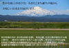 【新米予約】令和7年産　特別栽培米　あきたこまち　白米