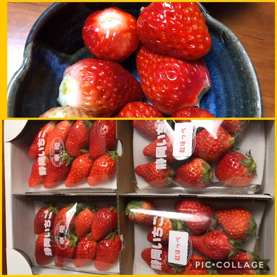 みんなの投稿の画像