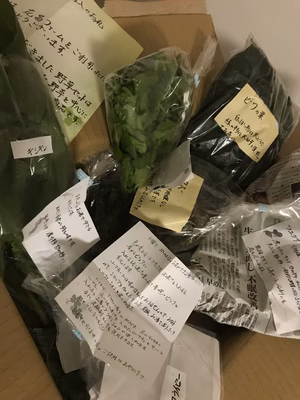 みんなの投稿の画像