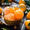 北海道へお届け　西浦みかん （12、1、2、3月限定）冷蔵便