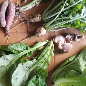 京都美山！秋のハッピー京野菜セット！【6～8品目】80サイズ