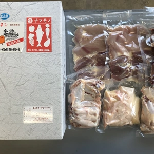 朝引き名古屋コーチン(地鶏肉)1羽セット＋副産物セット