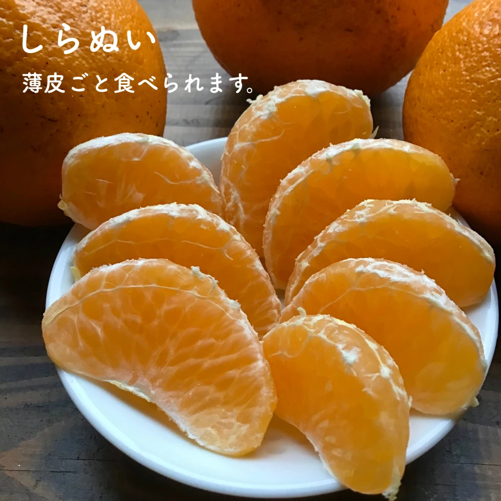 甘さ比べる、3種の柑橘セット【農薬不使用】