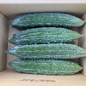 【鹿児島産】甘塩ゴーヤ箱込み9キロ^_^