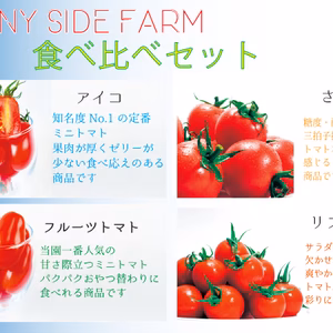 ミニトマトの欲張り食べ比べセット!! おたのしみ4種類!!