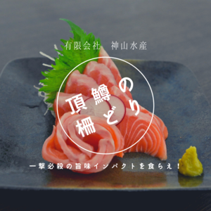 【日本一を目指すサーモン】頂鱒(イタダキマス)の柵どり（刺身用）