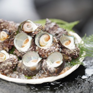 鮮度抜群！ サザエ1kg(約9〜15個) ※唐津 玄界灘産※