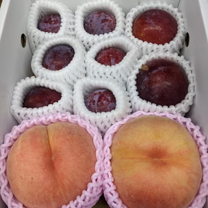 すももと桃の詰め合わせ現品限り