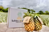 【ピーチ、ボゴール、ハワイ】3品種パイナップル　4月、5月、6月、7月定期便！！