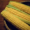 【採れたて】こだわりのスイートコーン【循環型農業】