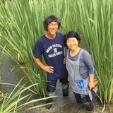 西浦はるみ | くま野良