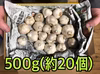 【7周年福袋】【農薬・化学肥料不使用栽培】　青森県産　にんにく　５００ｇ