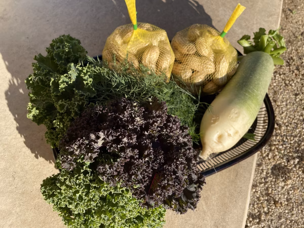 生落花生「愛の香り」と旬の野菜（3種）セット