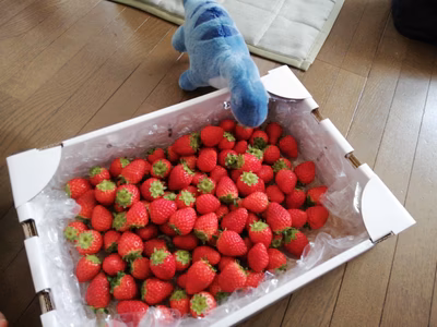 みんなの投稿の画像