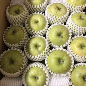 【甘い】青森県産りんご「王林」家庭用 きずあり 5kg 【フルーツキャップ】