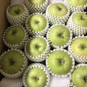 【甘い】青森県産りんご「王林」家庭用 きずあり 5kg 【フルーツキャップ】