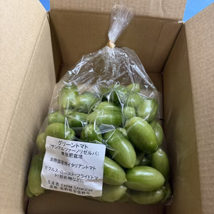 【青トマト】グリーントマト（サンマルツァーノ）｜数量限定　安曇野産