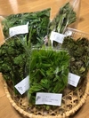 利賀村の山菜セット３種（採れる山菜の中から一番の旬な物をお届します。）