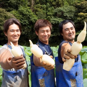 【A級品】シェフから選ばれる理由が、ここにある。これが俺たちの「美肌れんこん」