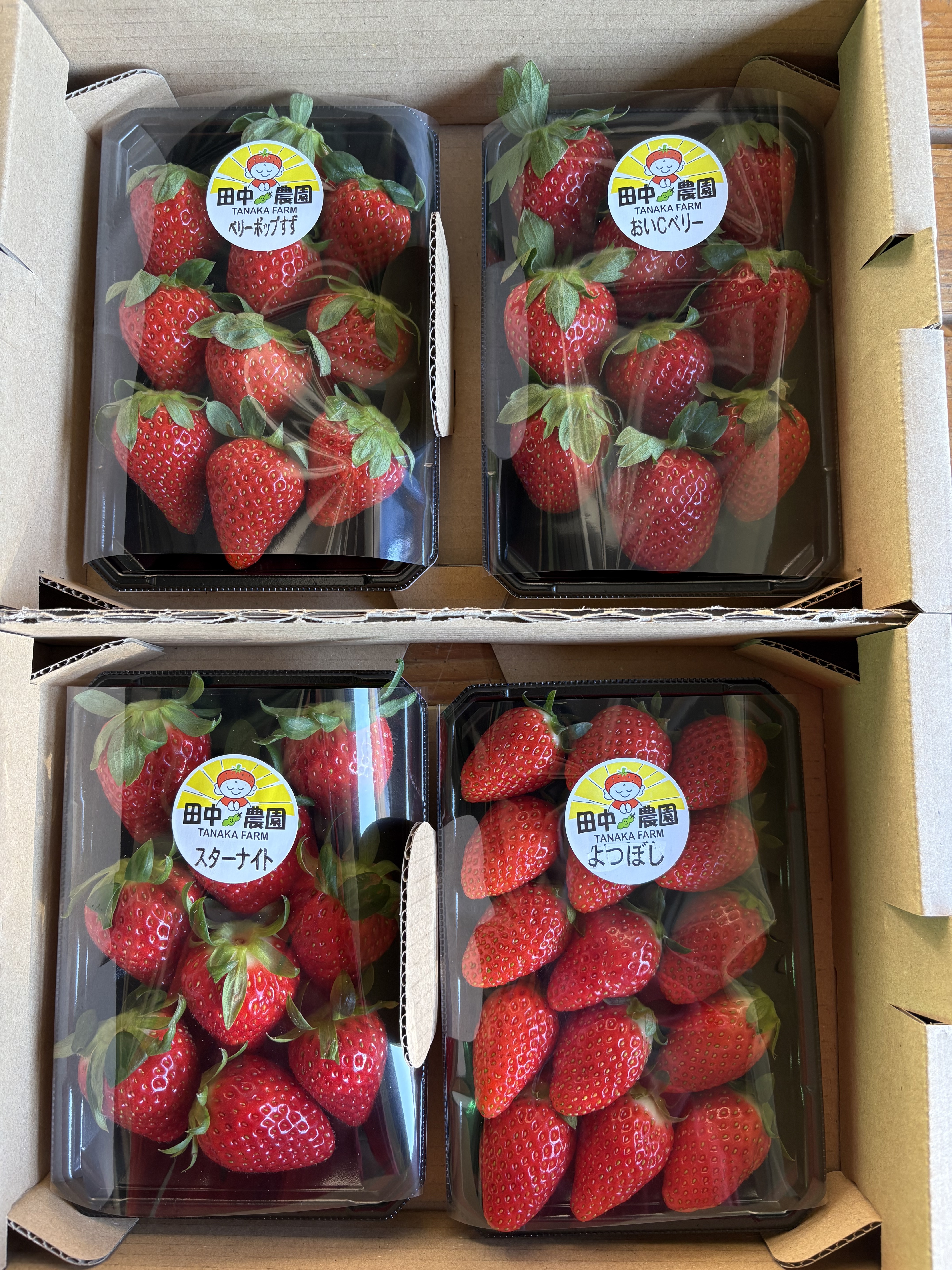 千葉県船橋産完熟いちごおまかせ4P｜いちごの商品詳細｜ポケット
