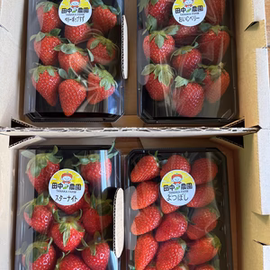千葉県船橋産完熟いちごおまかせ4P