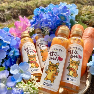 神奈川県産　アロマレッド　にんじんドレッシング　4本セット