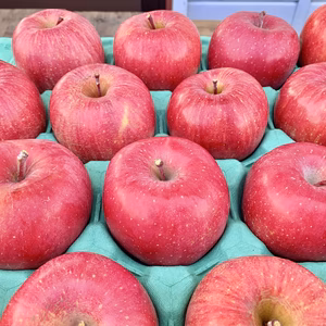 信州産りんご『完熟サンふじ【中玉】』ご贈答