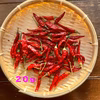 唐辛子 鷹の爪20g 農薬・化学肥料不使用