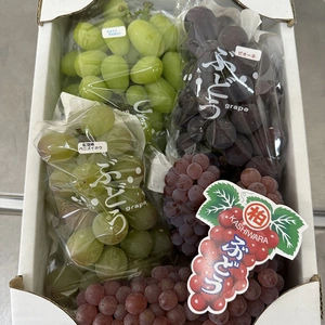 【ぶどう味くらべ4種盛り】紅瑞宝・ピオーネ・シャインマスカット、デラウェア2キロ