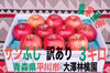 【数量限定】サンふじ　訳あり　3kg（8~11玉）