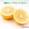 【宮崎産】日向夏＆国産グレープフルーツ３玉セット(5kg）