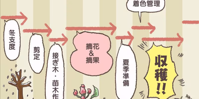 りんご農家のお仕事を会社員に例えてみたら、普通にハードすぎだった件