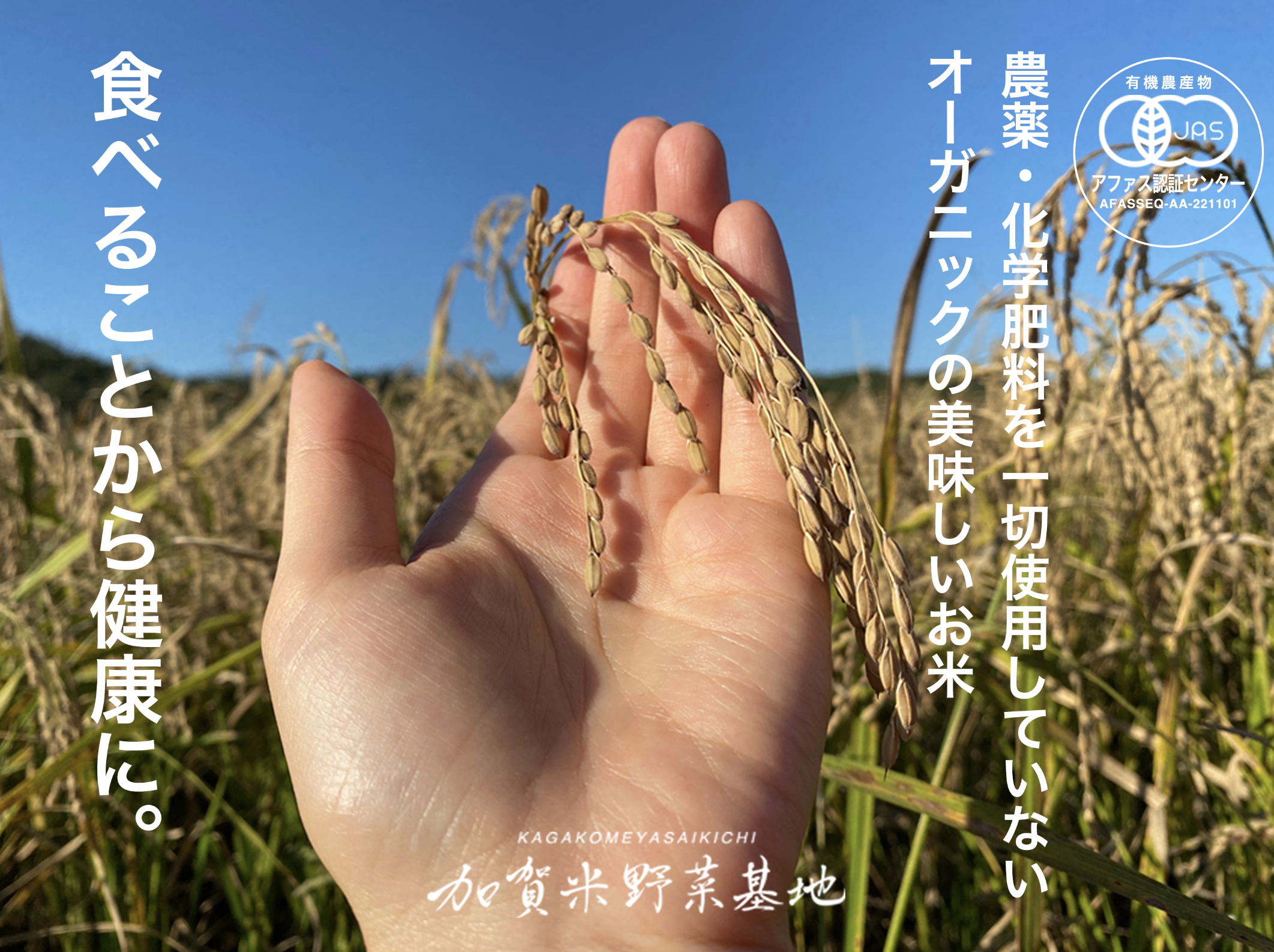 新米】農薬・化学肥料不使用『コシヒカリ』玄米10㎏【有機JAS