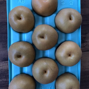 豊水　家庭用10㎏超特大18玉　4Lサイズ超