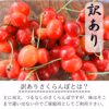 【翌々日着】秋田さくらんぼ 父の日 佐藤錦 お中元 さくらんぼ 訳あり 