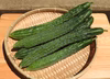 【山の寒暖差で育った】胡瓜の皇帝「四葉胡瓜」農薬/化学肥料/動物性堆肥不使用
