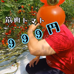 あと少し【 期間限定999円 】 筋肉トマト！！