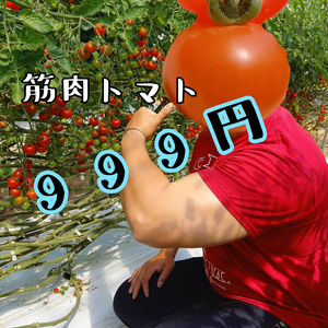 あと少し【 期間限定999円 】 筋肉トマト！！