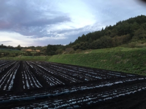 14563406_919230604848879_5137343069600691911_n