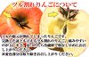 サンふじ りんご   加工用  ジュースやジャムなどに最適！