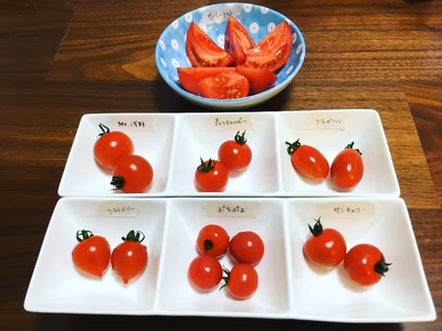 みんなの投稿の画像