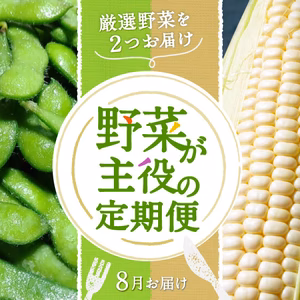 厳選野菜を2つお届け「野菜が主役の定期便」