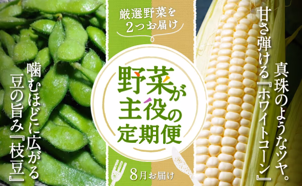 厳選野菜を2つお届け「野菜が主役の定期便」