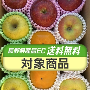 【送料無料】旬の果物詰合せ 約3kg～ りんご、甘柿 フルーツボックス♪