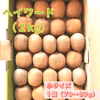 【追熟済】平均糖度16度！甘くておいしいキウイフルーツ（小サイズ）2kg