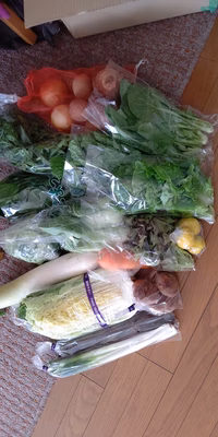 みんなの投稿の画像